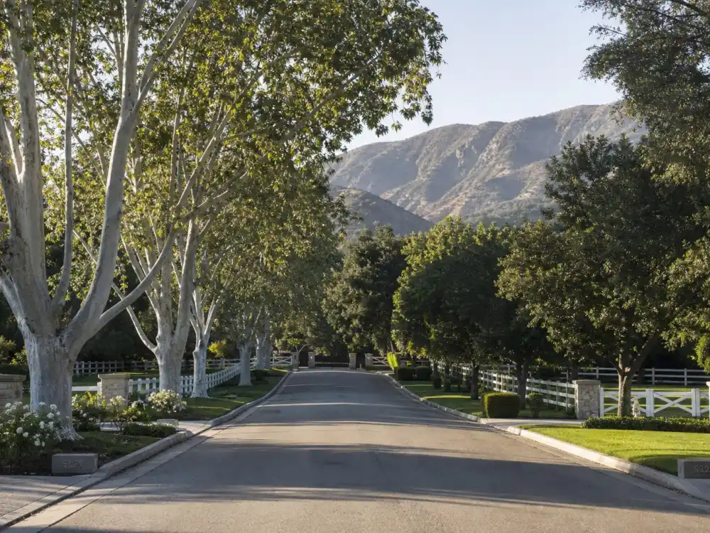 Tree-lined private street with white fences inside the Hidden Hills enclave where celebrities who live in Hidden Hills raise their families