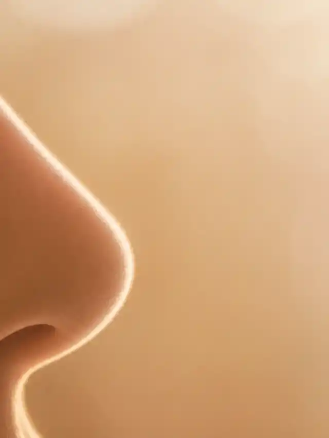 Celebrity Rhinoplasty: Who Has Had Work Done