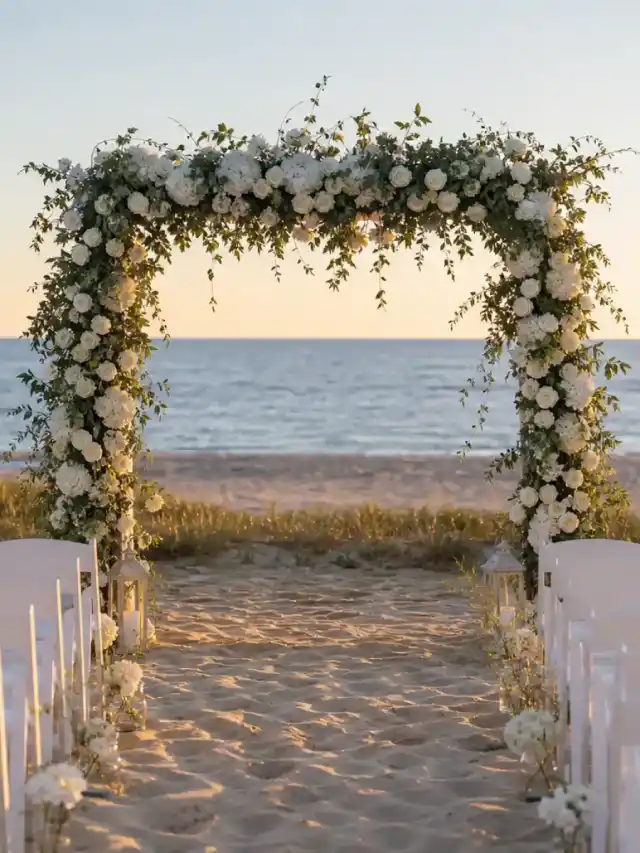 Chris Evans Alba Baptista Marriage: Inside Their Love