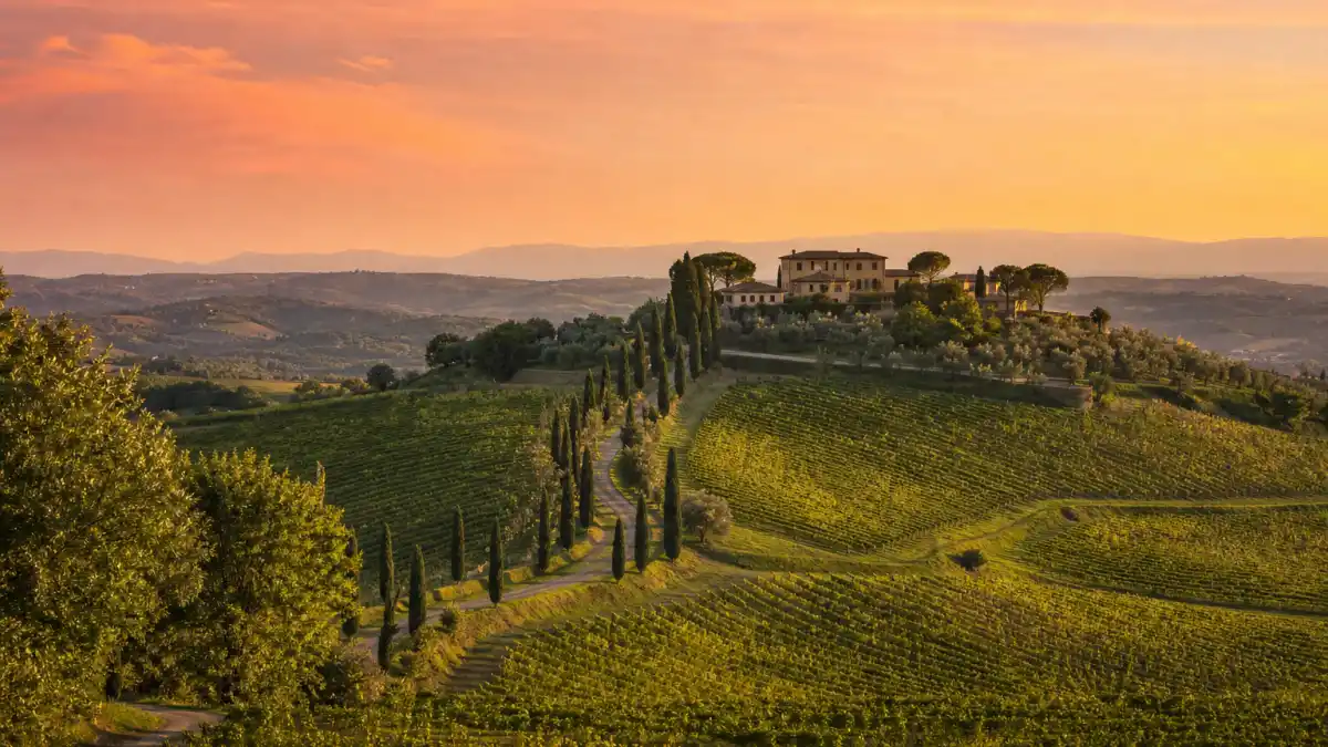 Tuscan vineyard hillside with Italian villa at sunset where Millie Bobby Brown married Jake Bongiovi