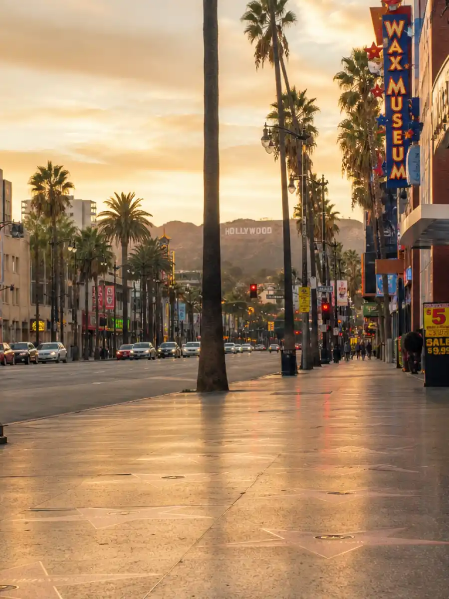 Hollywood Boulevard poster for Timothee Chalamet dating history web story