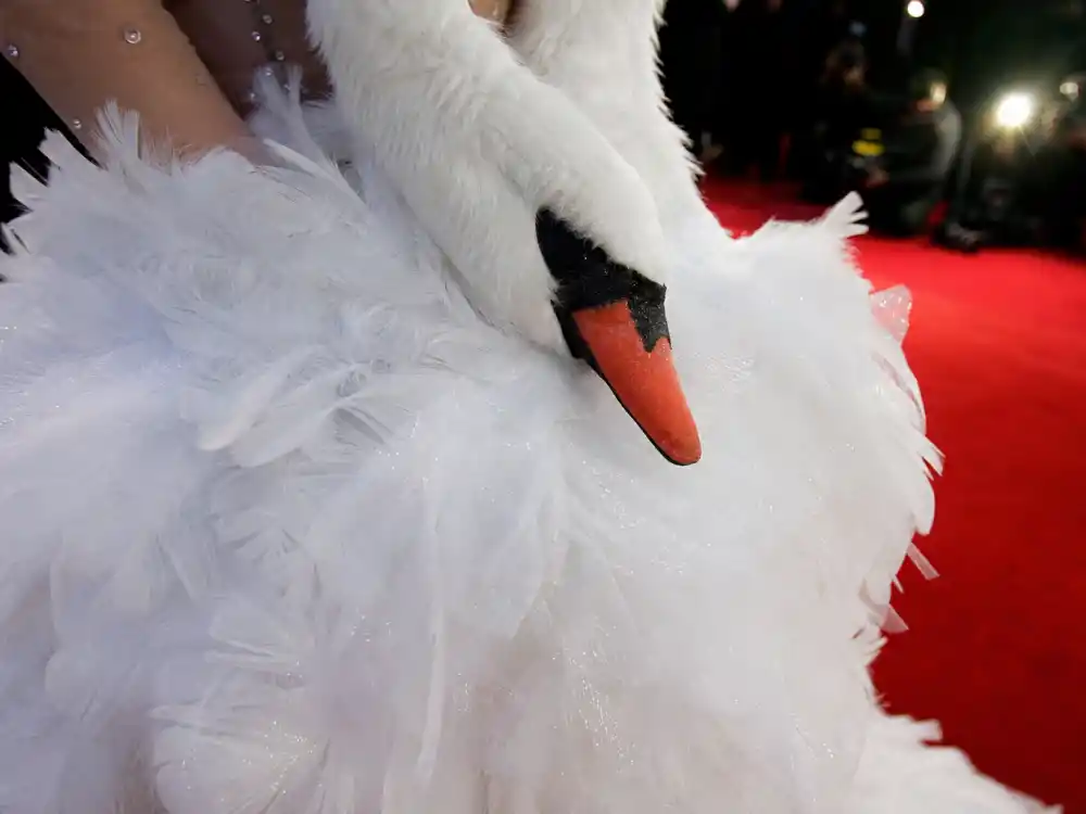 Close-up feather and swan head detail on Oscars red carpet flash photography amplifying Bjork swan dress Oscars history paparazzi frenzy