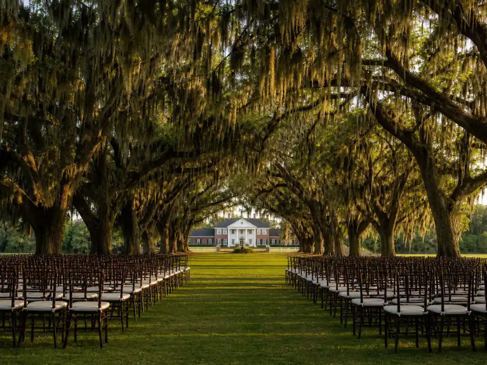 Boone Hall Plantation oak avenue in South Carolina where Blake Lively wedding dress Marchesa made its September 9 2012 ceremony debut