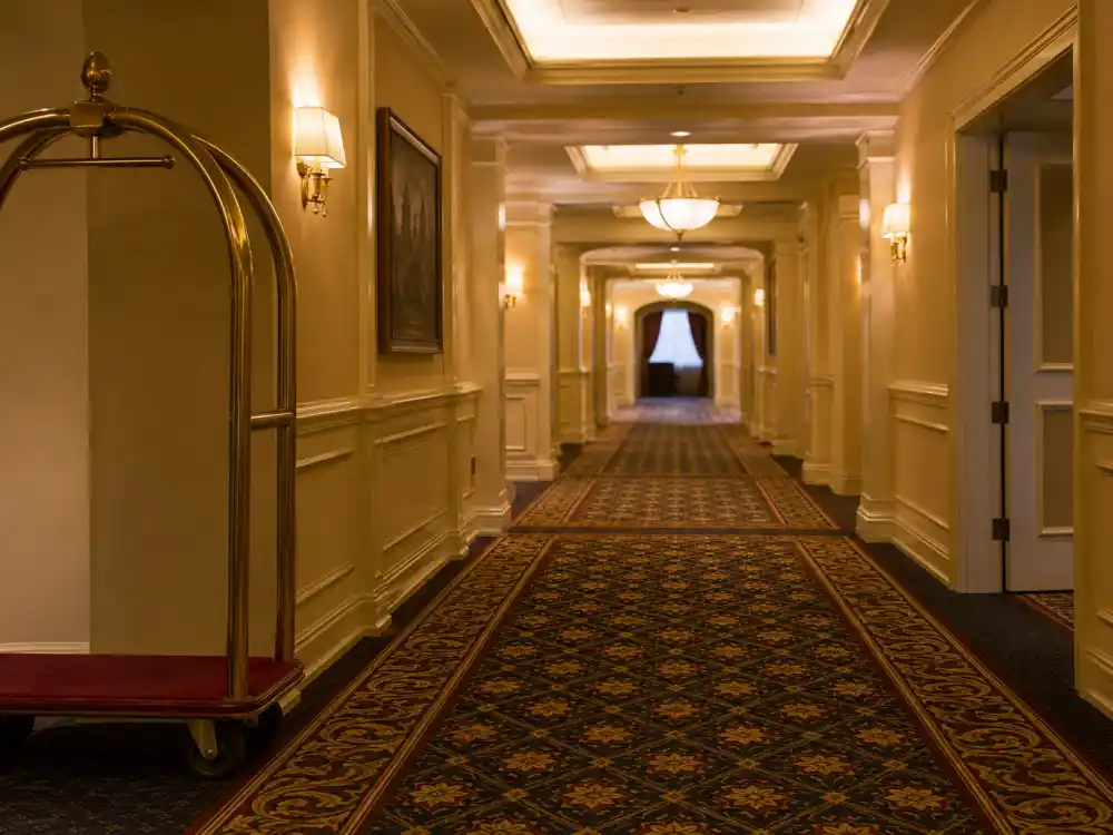 Fancy hotel suite hallway for where is Brenda Song now as London Tipton on Disney Channel Suite Life