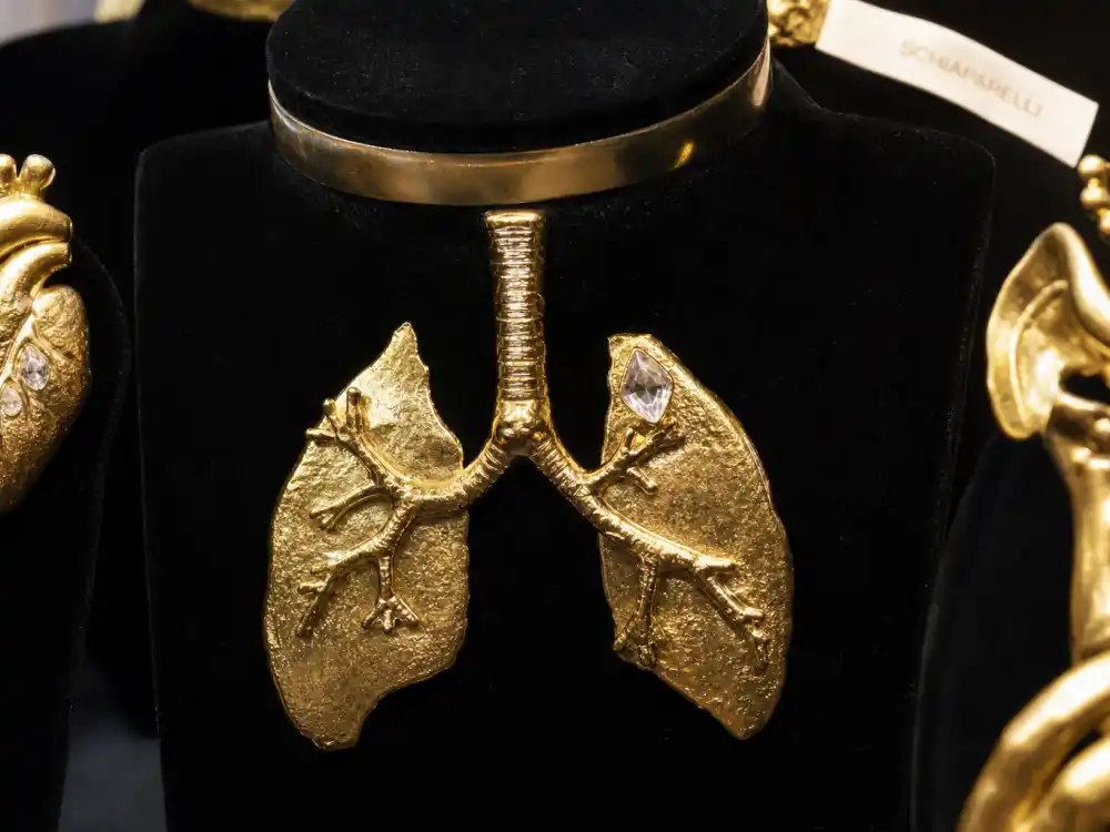 Schiaparelli surreal gold sculptural brooches and couture jewelry on black velvet display defining the accessory code celebrities who wear Schiaparelli carry to Met Gala and Cannes circuits
