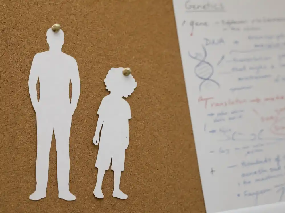Mismatched parent child paper silhouettes pinned to cork board for celebrity kids who look nothing like parents editorial comparison without faces