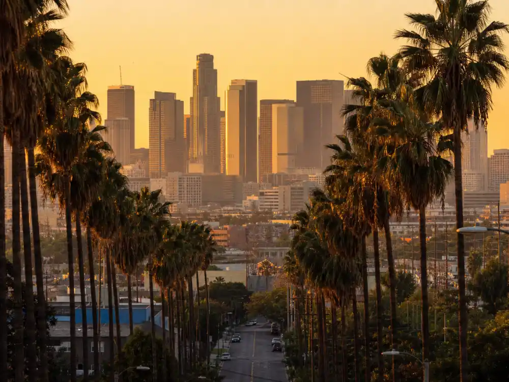 Los Angeles skyline evoking Doja Cat age and birthday 2026 birthplace — Los Angeles, California where Doja Cat was born October 21, 1995
