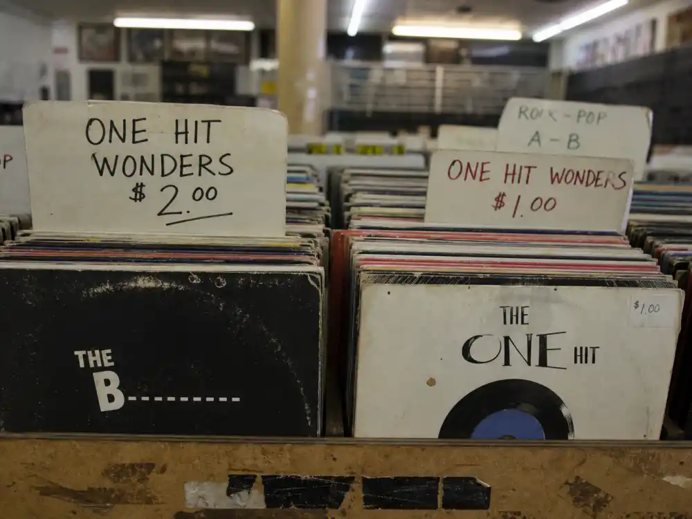 Bargain-bin vinyl records illustrate one-hit-wonder fallout tied to the Best New Artist Grammy curse legend in thrift-store culture