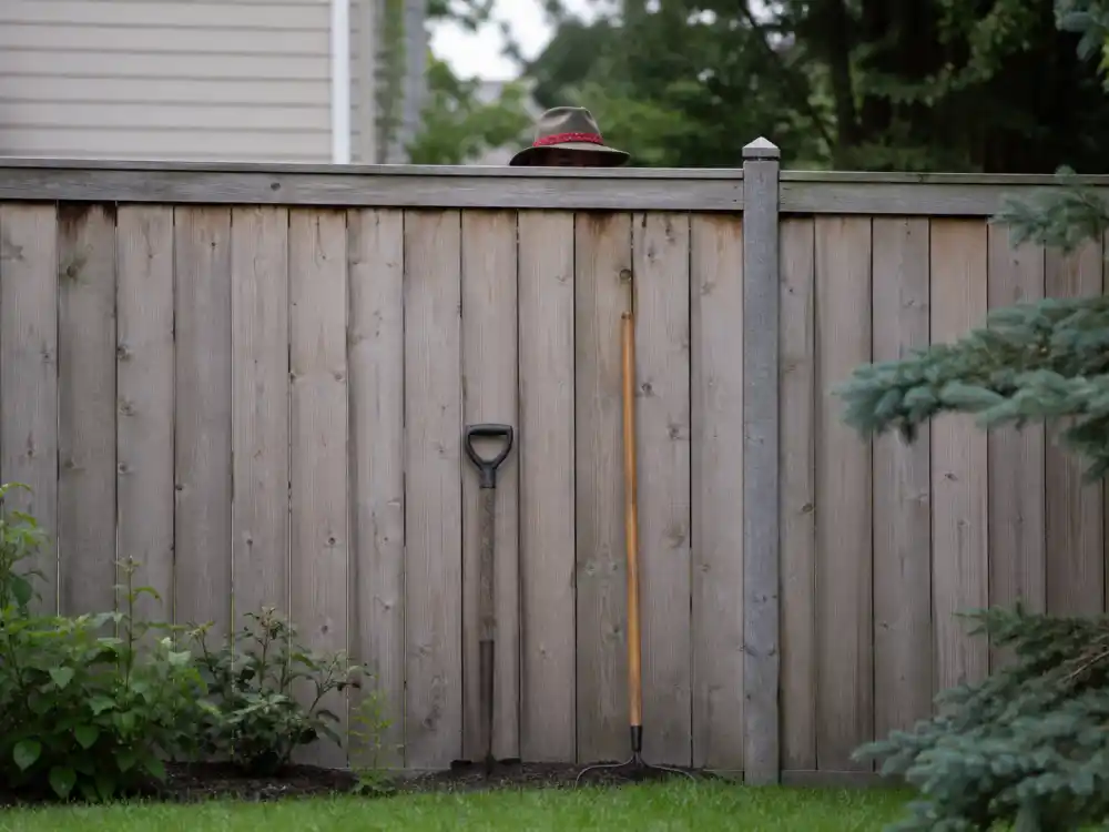 Tall backyard privacy fence evoking Wilson neighbor wisdom in the Home Improvement cast where are they now roundup