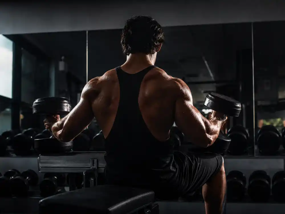 Bodybuilding gym reflecting how old is Arnold Schwarzenegger career arc from Mr. Olympia dominance to global action blockbuster superstardom and California governor