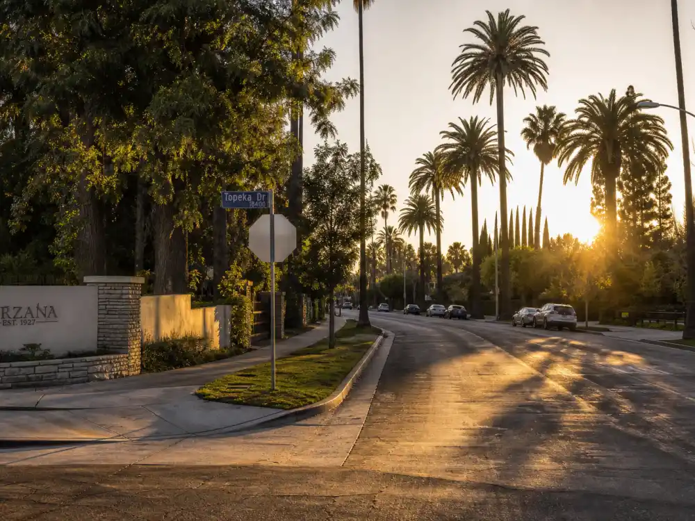 Los Angeles palm tree street evoking how old is Doja Cat birthplace — the California city where she was born on October 21, 1995