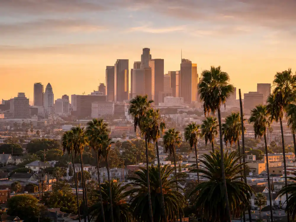 Los Angeles California skyline evoking how old is Leonardo DiCaprio birthplace — the city where Leonardo Wilhelm DiCaprio was born on November 11, 1974