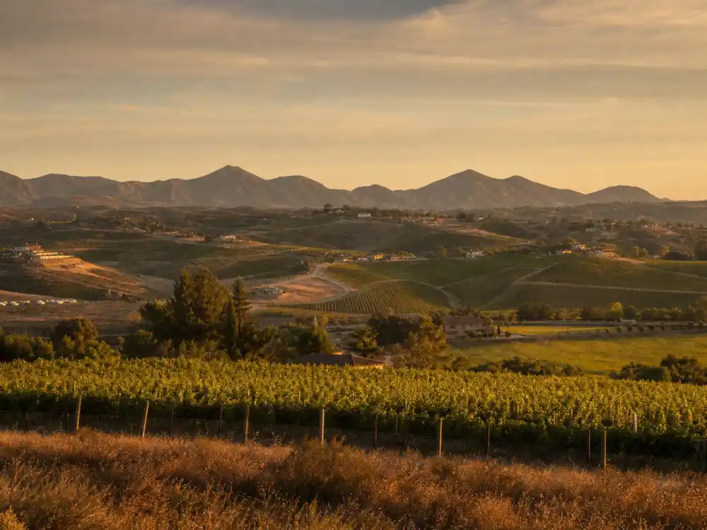 Temecula California wine country hills near where Olivia Rodrigo was born February 20, 2003 — how old is Olivia Rodrigo birthplace context