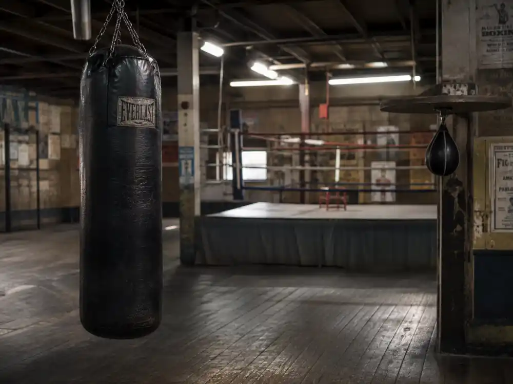 Boxing gym set reflecting how old is Sylvester Stallone career arc from Rocky breakout to Rambo action dominance and decades of Hollywood legacy