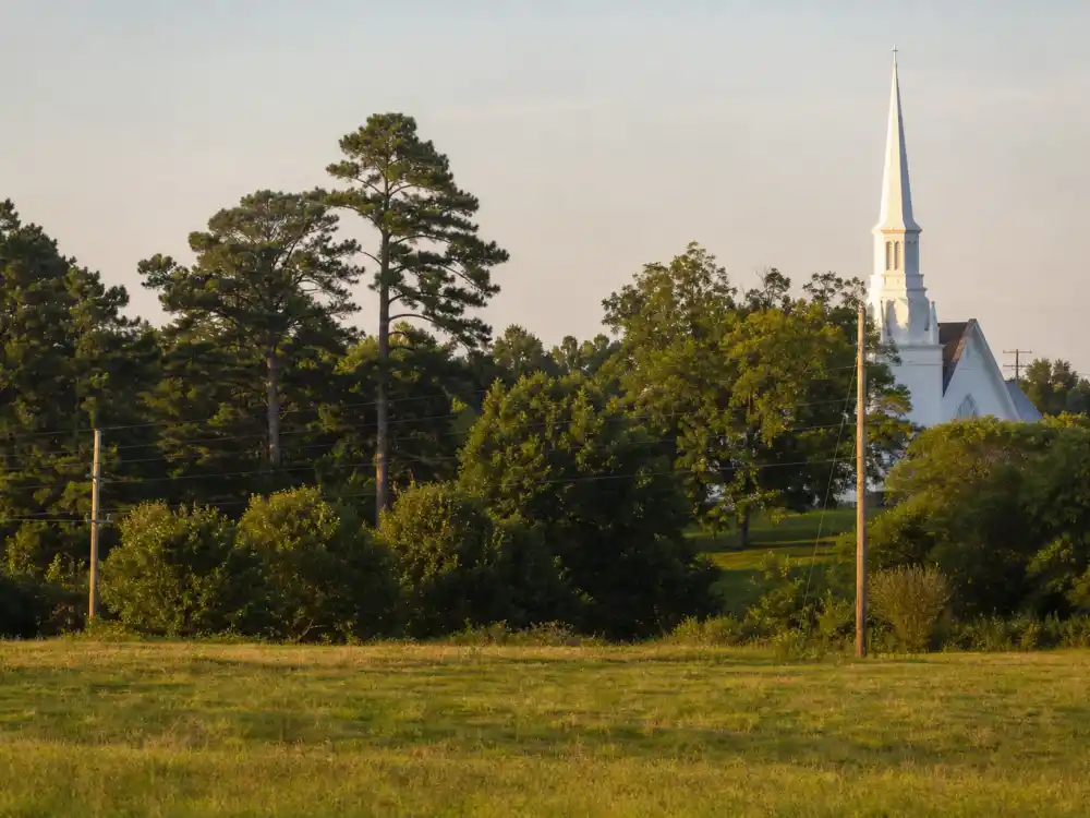 St Matthews South Carolina countryside evoking how old is Viola Davis birthplace — the rural community where Viola Davis was born on August 11, 1965