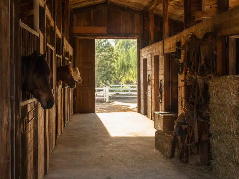 Santa Barbara ranch stable interior for where Kelly LeBrock lives now away from Hollywood