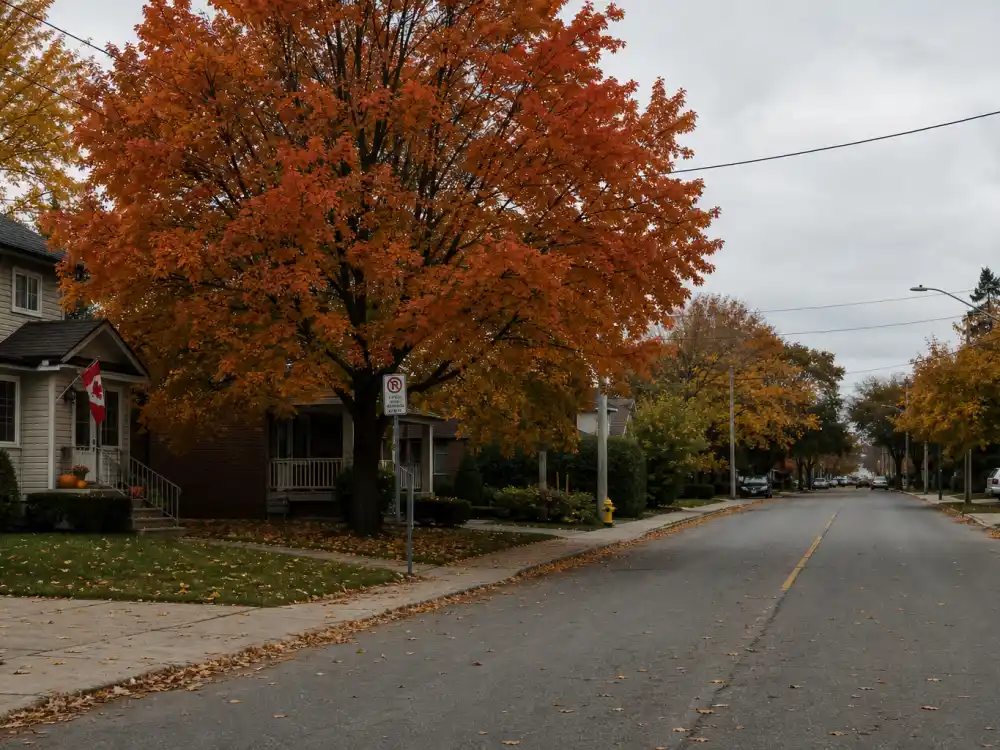 Canadian suburban street for where is Kristin Kreuk now Vancouver upbringing before Smallville