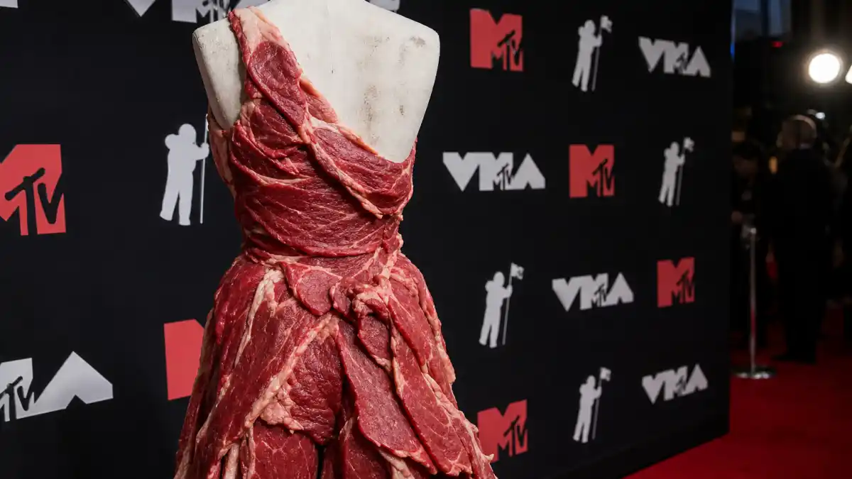 Lady Gaga meat dress explained — iconic raw beef gown on dress form at MTV VMA red carpet step-and-repeat seen from behind
