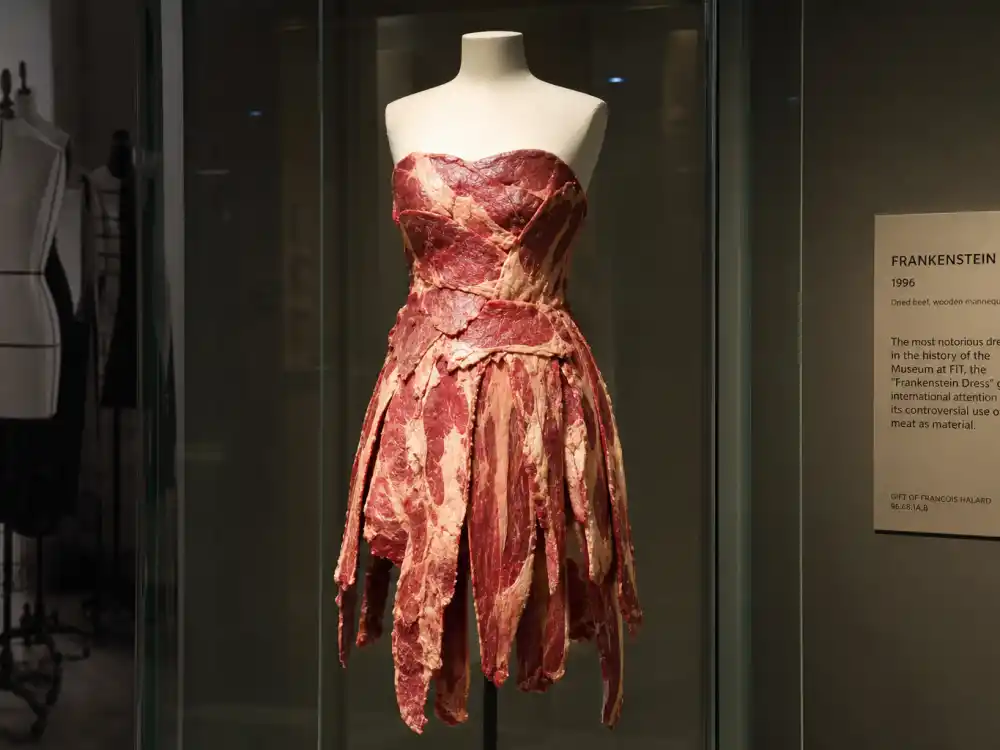 Preserved meat dress in museum display case documenting the Lady Gaga meat dress explained legacy after taxidermy conservation