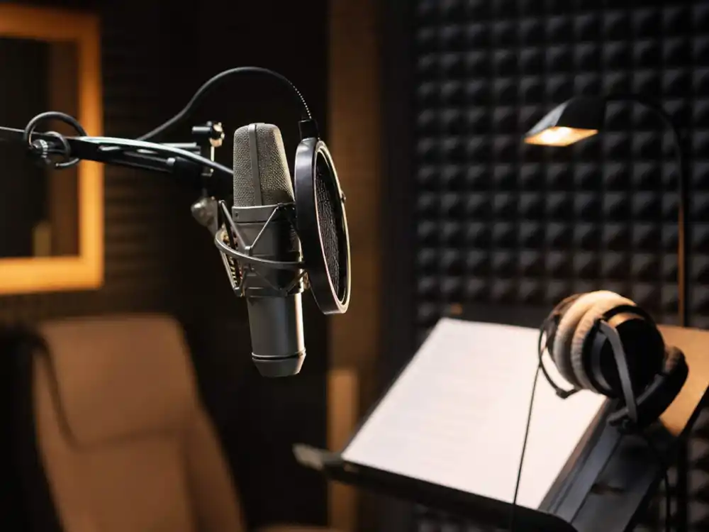 A voice-over recording booth microphone representing the voice-acting and podcast work of Mara Wilson