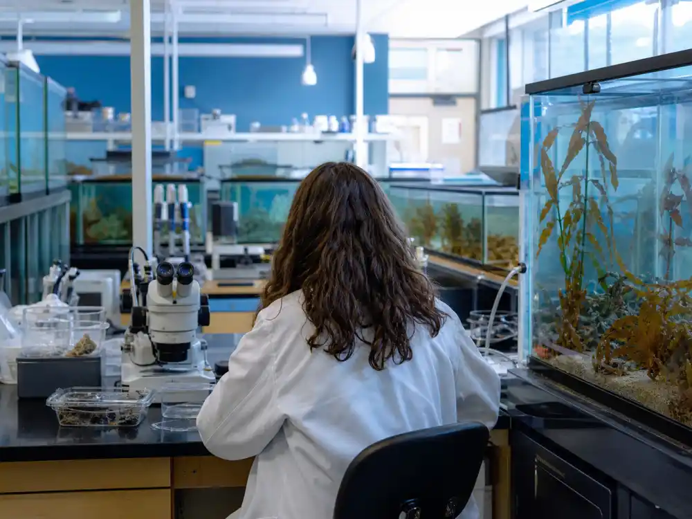UCLA marine biology lab for where is Mason Gamble now as environmental scientist