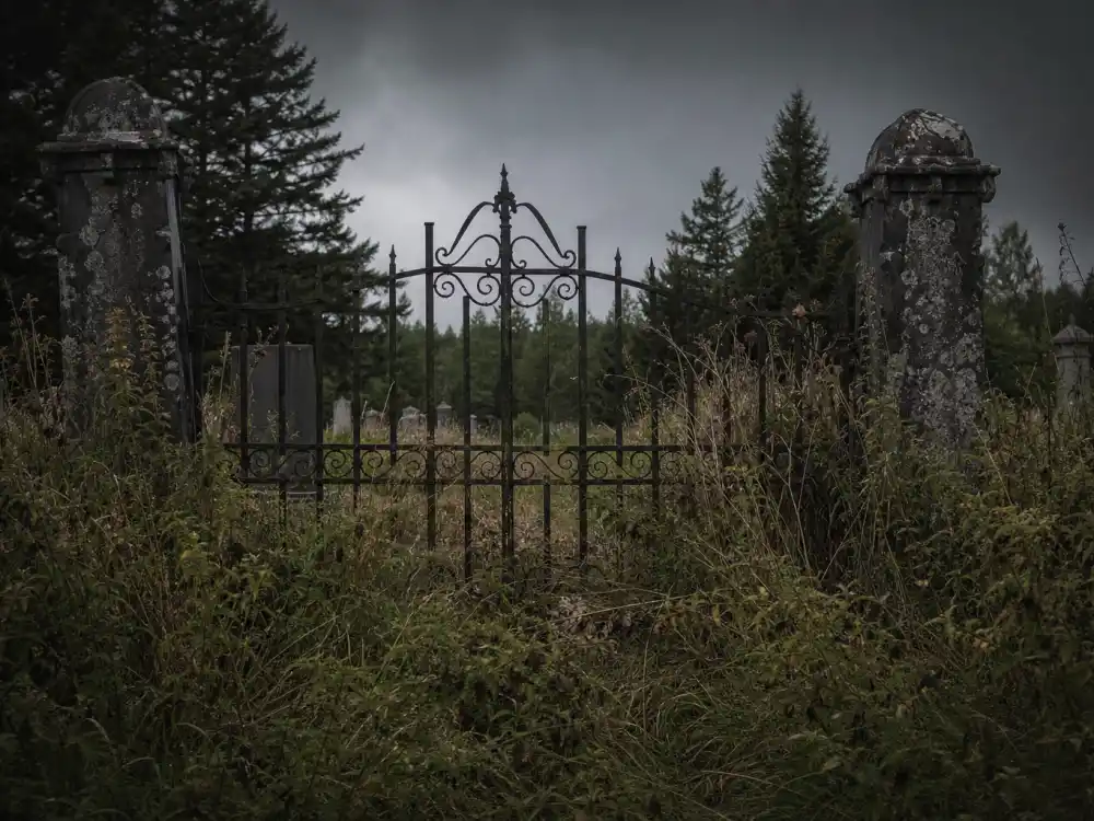 Rural cemetery gate for Miko Hughes Pet Sematary Gage Creed fame as Stephen King horror child star