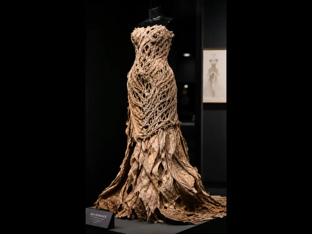 Avant-garde unconventional-material couture evoking Lady Gaga meat dress era in most daring award show outfits ever history