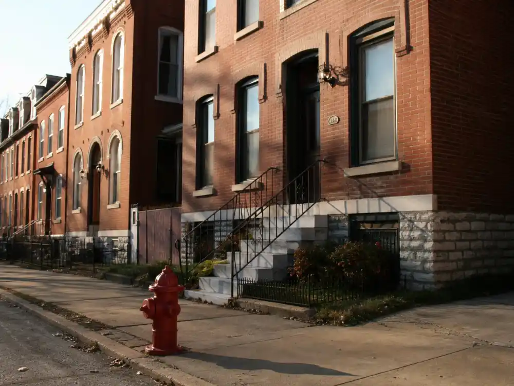 St. Louis brick neighborhood for what happened to Nelly before Country Grammar fame