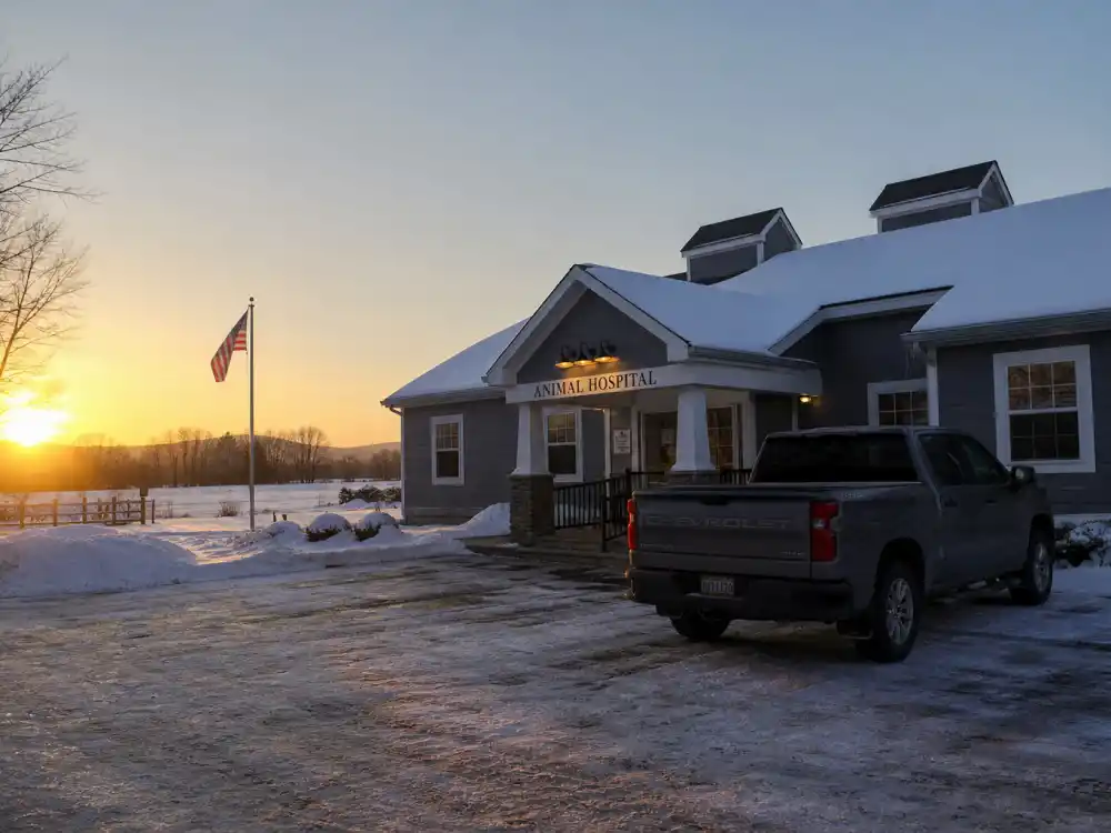 Rural veterinary clinic exterior for where is Peter Ostrum now in 2026 after leaving Hollywood