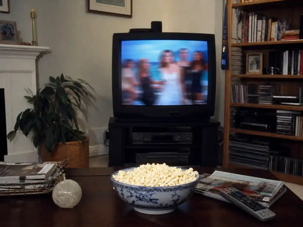 Early 2000s living room CRT TV for reality TV stars where are they now binge-watch nostalgia