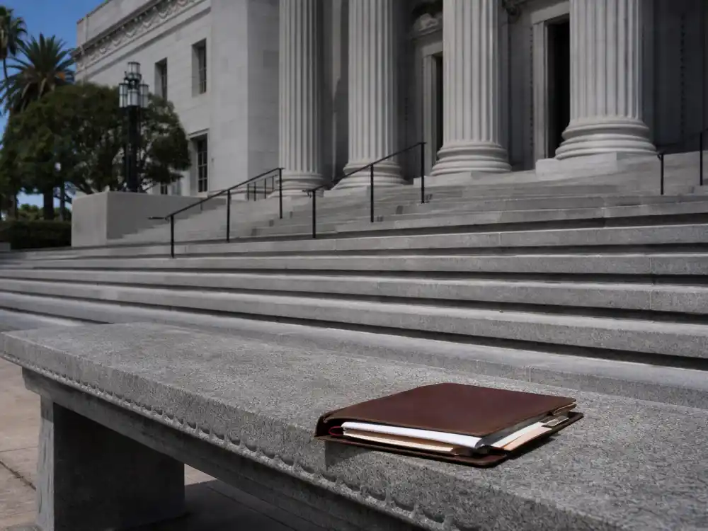 Los Angeles courthouse steps for Sean Young Hollywood blacklist reputation and legal headlines