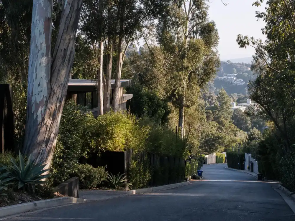 Los Angeles canyon street for where is Shiri Appleby now private family life with chef husband Jon Shook