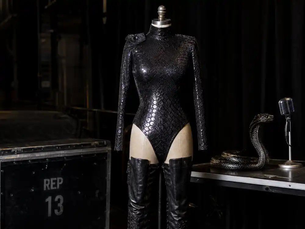 Black snakeskin bodysuit and boots for the Reputation era block in what did Taylor Swift wear to Eras Tour
