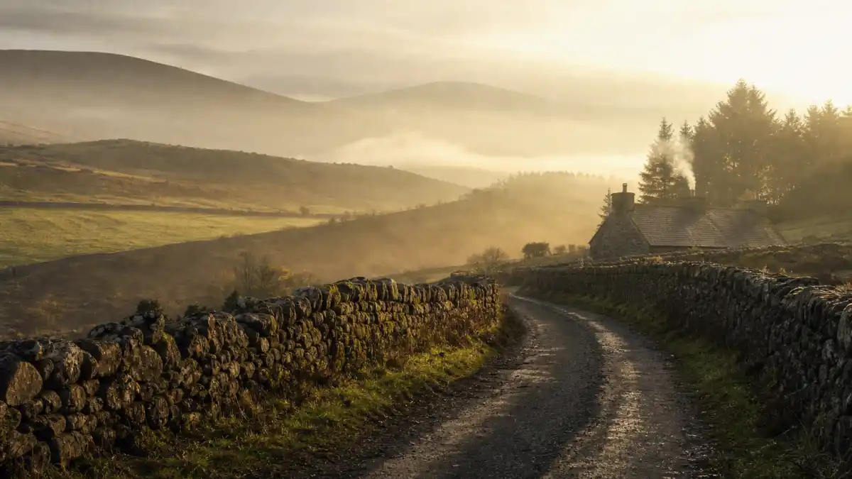 Where is Daniel Day-Lewis now 2026 — misty County Wicklow Ireland lane with stone cottage reflecting his private home life