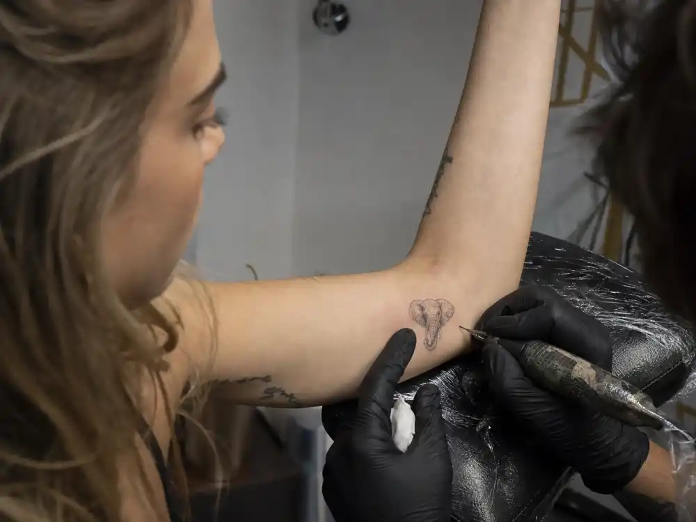 Cara Delevingne tattoos and their meanings — Doctor Woo half-needle elephant tattoo on inner forearm in memory of late grandmother
