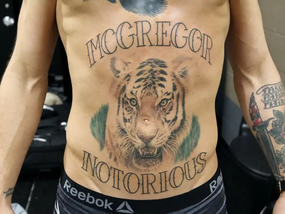 Conor McGregor tattoos and their meanings — roaring tiger stomach tattoo with MCGREGOR and NOTORIOUS script lettering