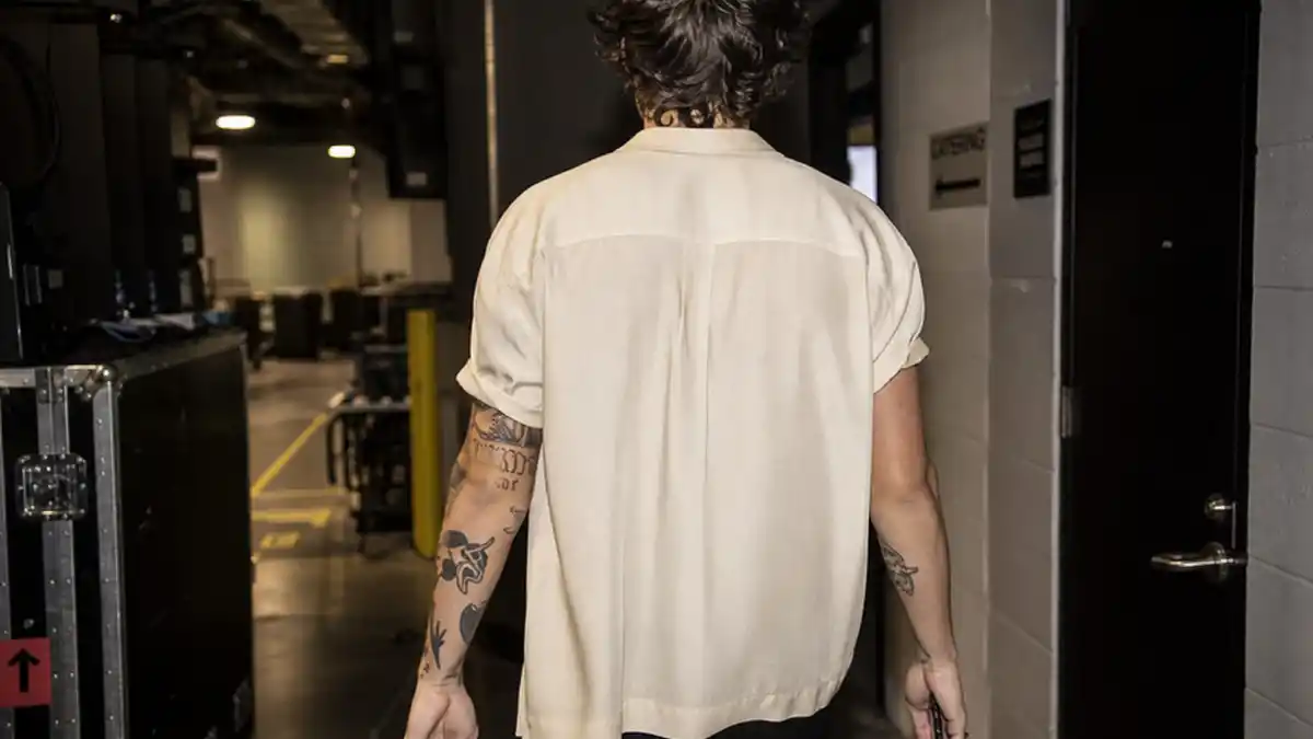 Harry Styles tattoo collection guide — slim young man with curly brown hair from behind backstage showing butterfly and script arm tattoos