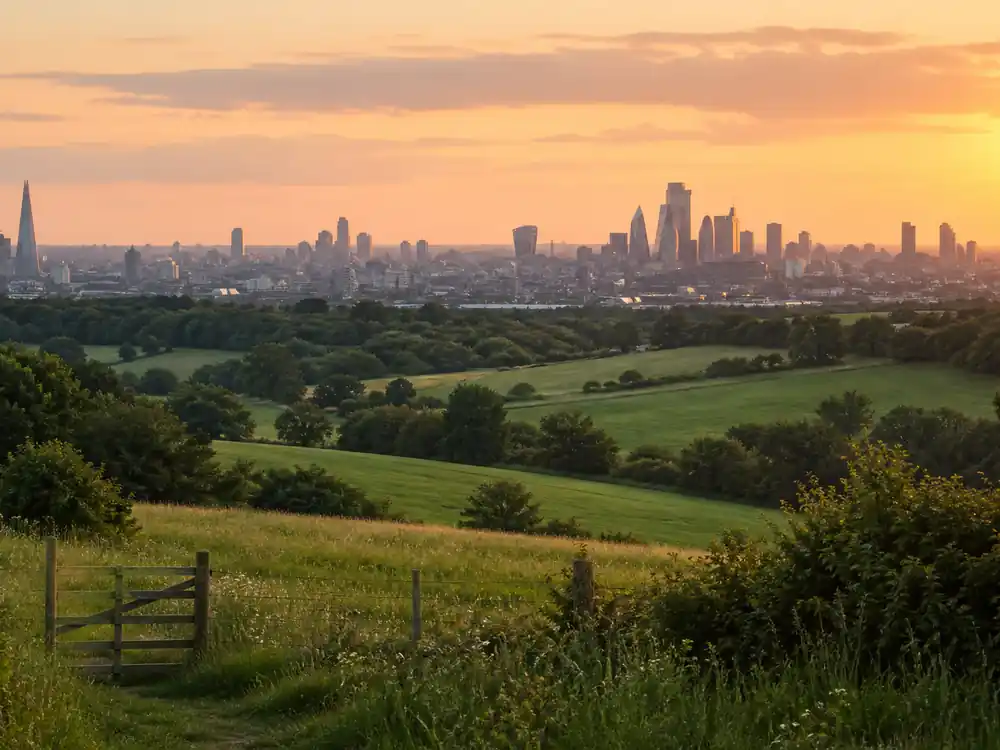 English countryside meadow with distant London skyline tied to Adele vs Ed Sheeran net worth UK contrast
