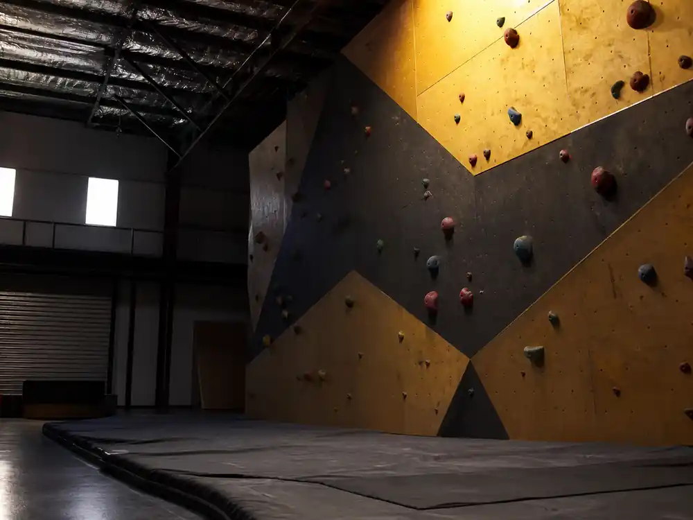 Stunt gym boulder wall training space linked to Dwayne Johnson net worth 2026 action career