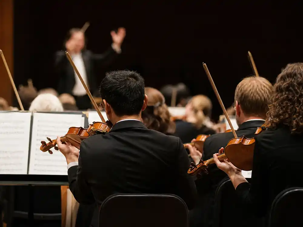 String section from behind during the campaign years that define how much does Adele make